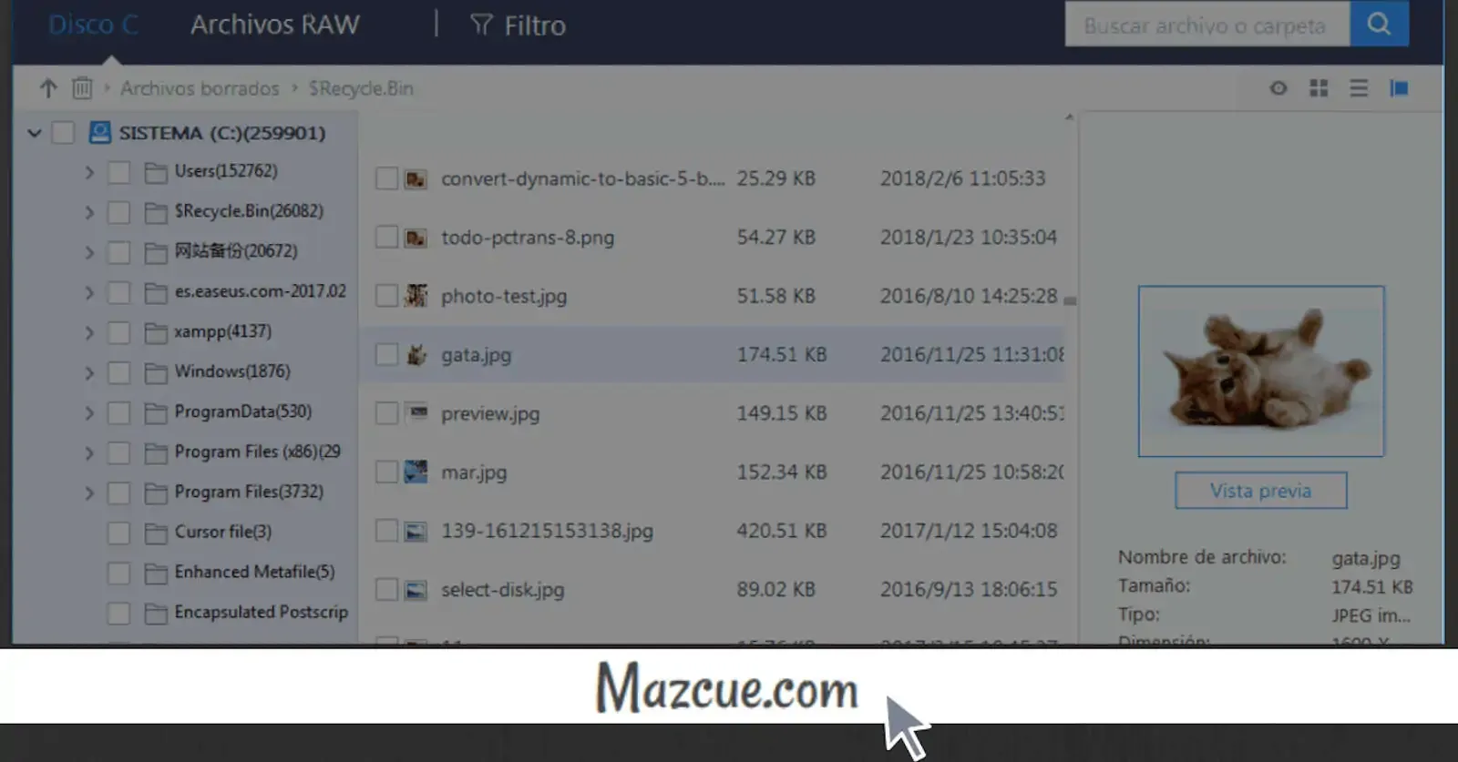 Cómo recuperar archivos borrados de forma fácil y rápida